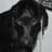 Lucia M Haselhorst avatar