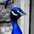 Richard Arthur Martinez avatar
