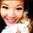 Steffanie C Phan avatar
