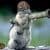 Hien C Tran avatar