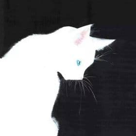Nhung T Smith avatar