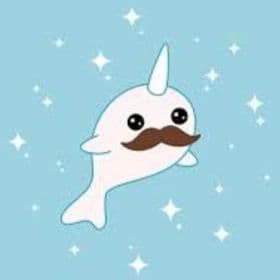 Matthew F Bitner avatar