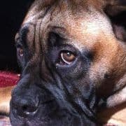 Kevin L Hocker avatar