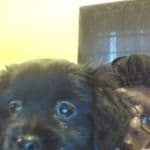 Minnie Lee Mathis avatar