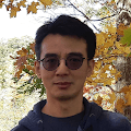 Lu L Yang avatar