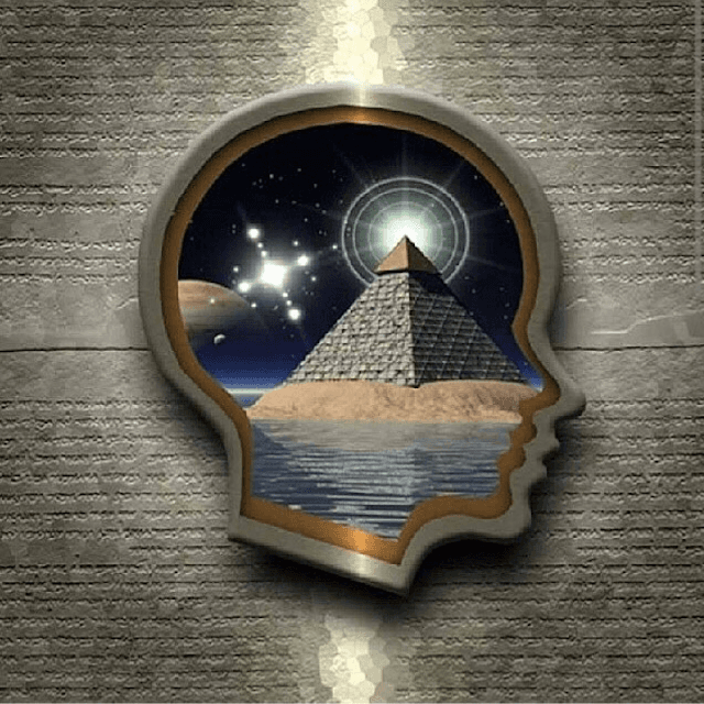 Bryan Johnson avatar