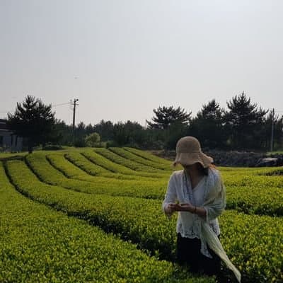Tom Yun avatar