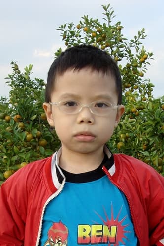 Hue T Nguyen avatar