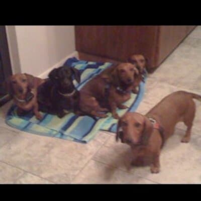 Kimberly G Lund avatar