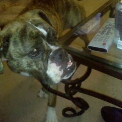 Holly Ann Ruby avatar