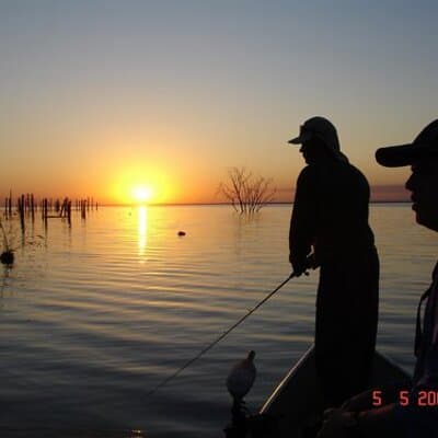 Luann K Luann Bulow avatar