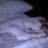 Theron S Smith avatar