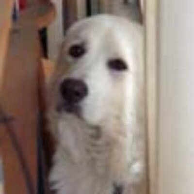 Ruby N Chaney avatar