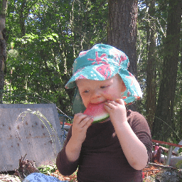 Pamela Tucker Bussey avatar