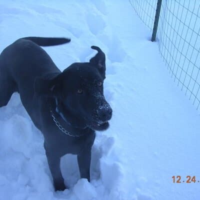 Holly Sue Johnson avatar