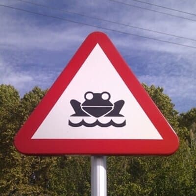 Lan Thi Ngo avatar