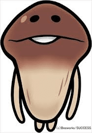 An Na Yang avatar