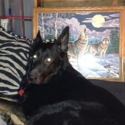 Ronald Edwards Jacobs avatar