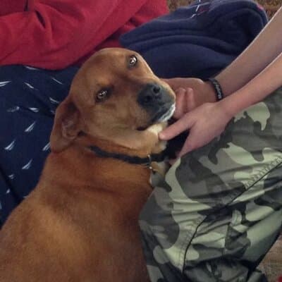 Taylor Douglas Ditmars avatar