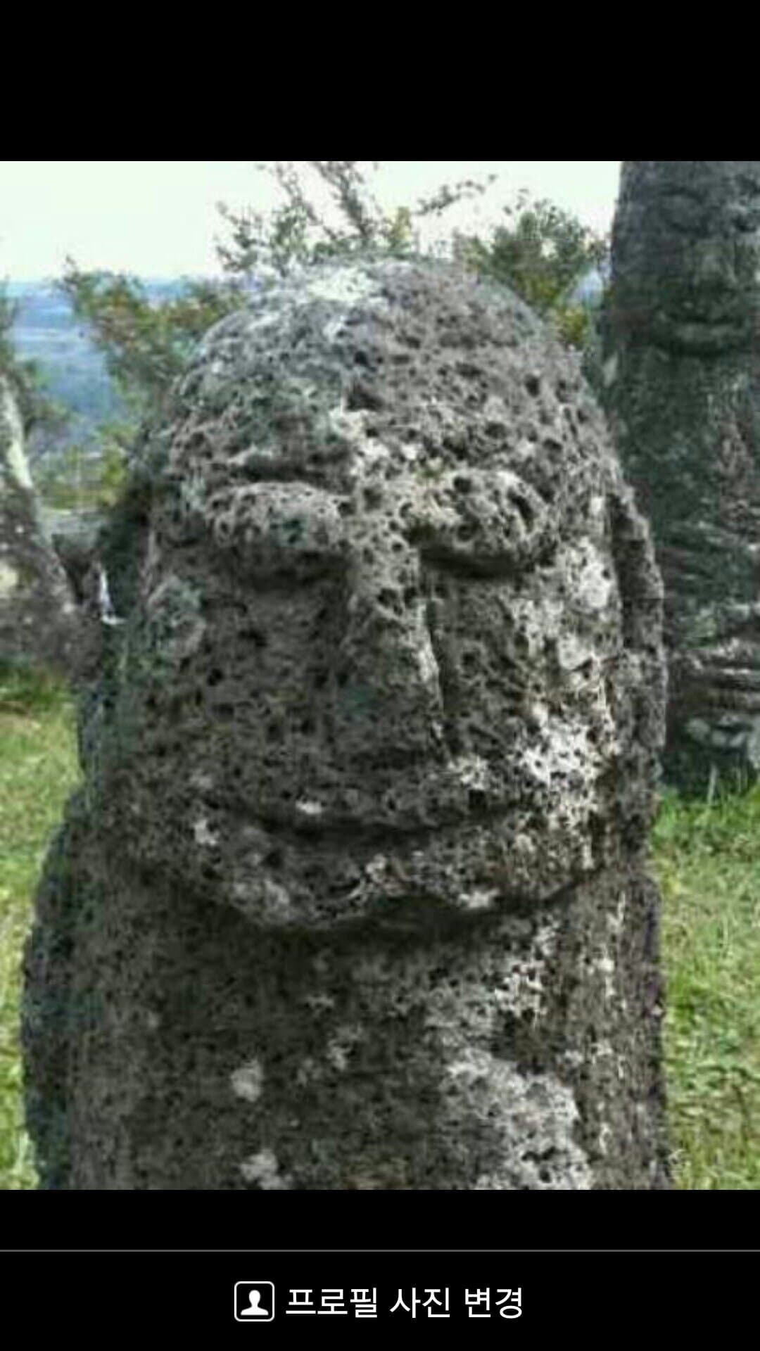 Yung Kang Sun avatar