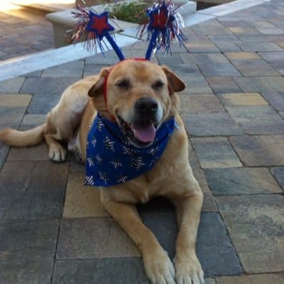 Donald Charles Roof avatar