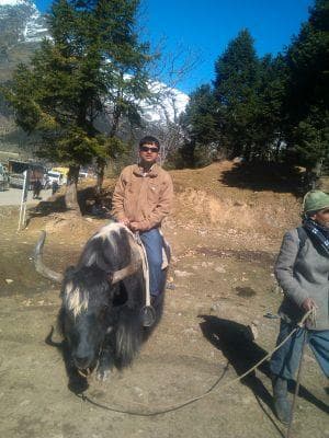 Damyanti I Patel avatar
