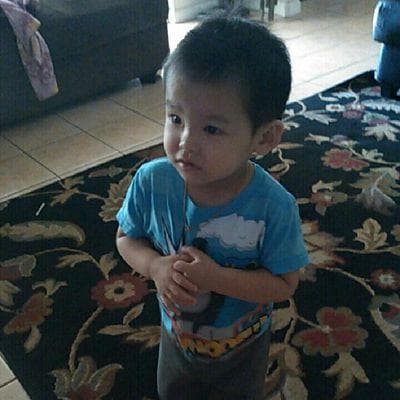Yang Vang avatar