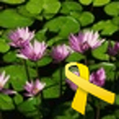 Zhongping Zhang avatar