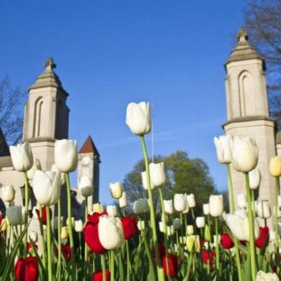 Grant R Stewart Jr. avatar