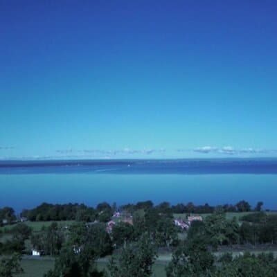 Marion A Nevins avatar