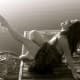 Ashley Rodriguez avatar