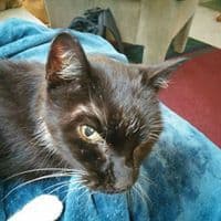 Donald Dee McKie avatar